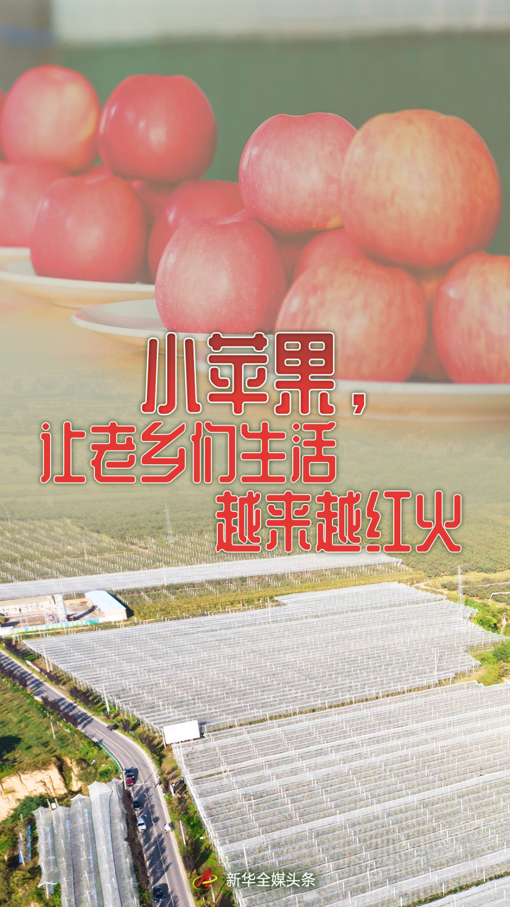 小苹果活动助手官网苹果版cf小苹果活动助手苹果手机版