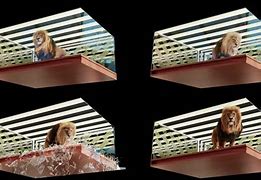 美洲视频网手机版无人区电影哪里可以看-第2张图片-太平洋在线下载