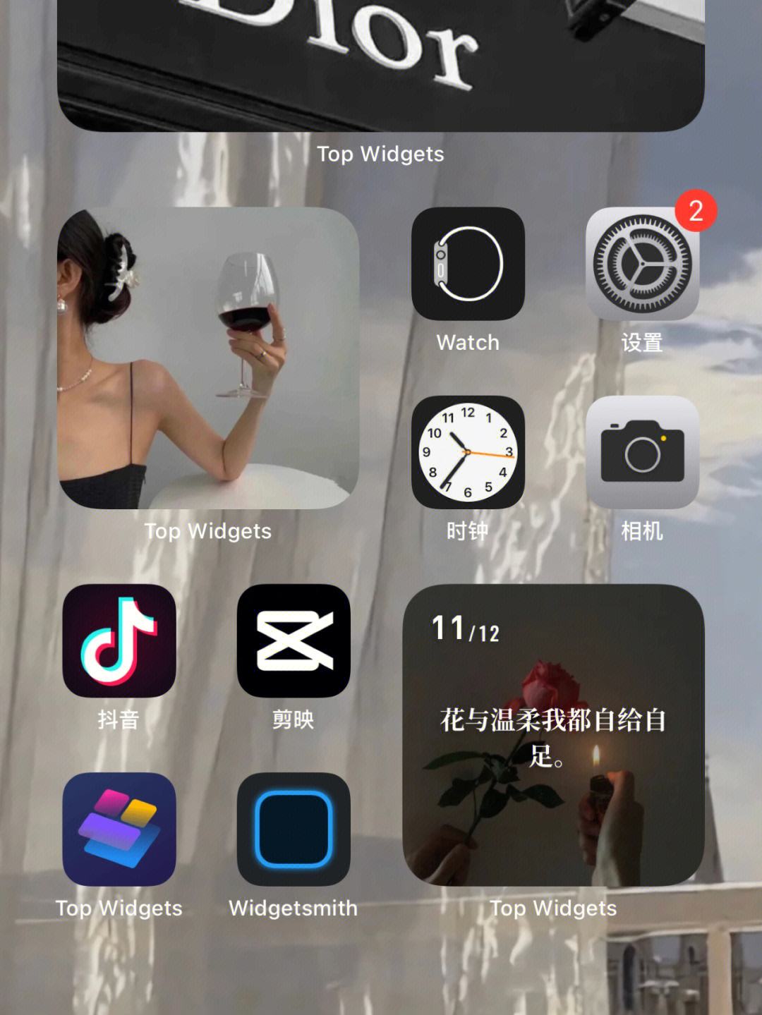 苹果高级版用户苹果高级会员是什么