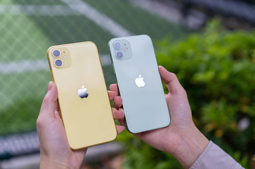 苹果永久版(1)iphone官网入口-第2张图片-太平洋在线下载