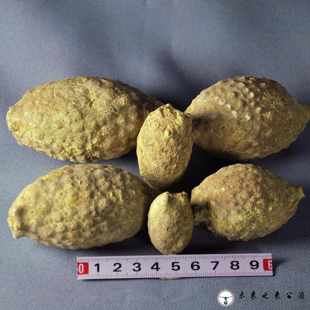小苹果生物版小苹果一键领取官网-第2张图片-太平洋在线下载