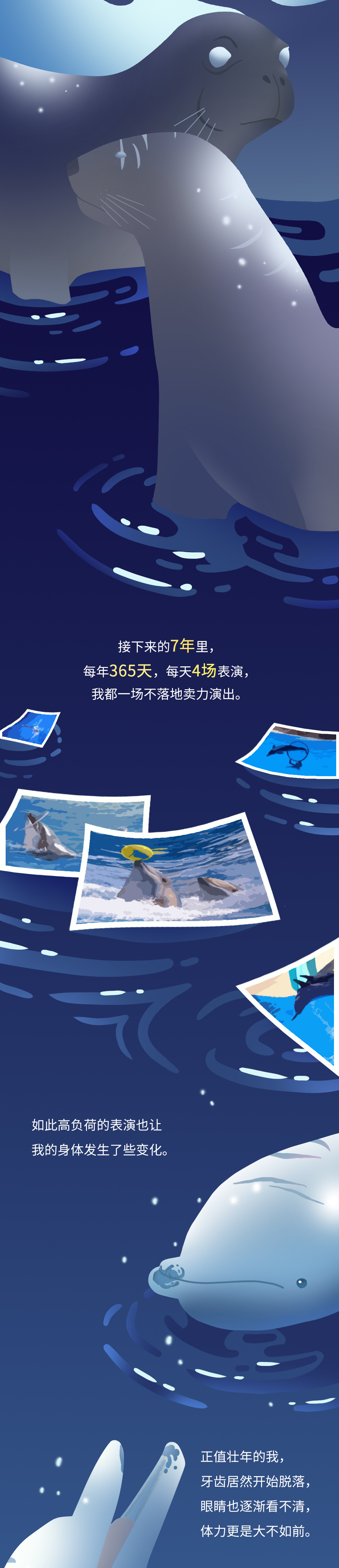 海豚娱乐棋牌苹果版星辰棋牌娱乐app苹果版