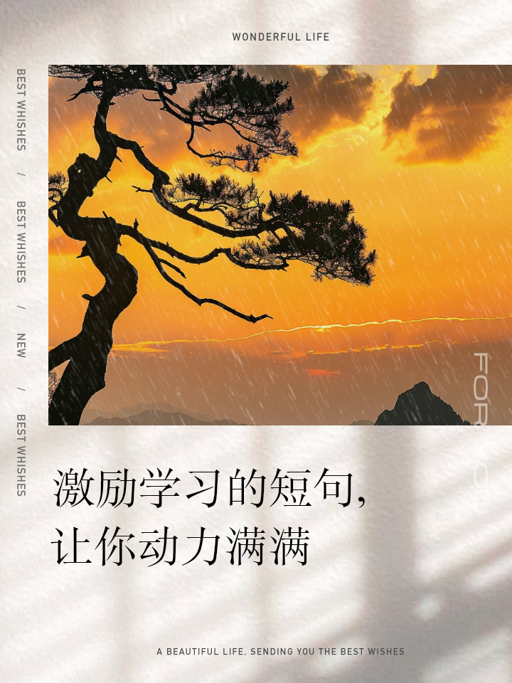 学之路手机客户端e学公路app下载-第2张图片-太平洋在线下载
