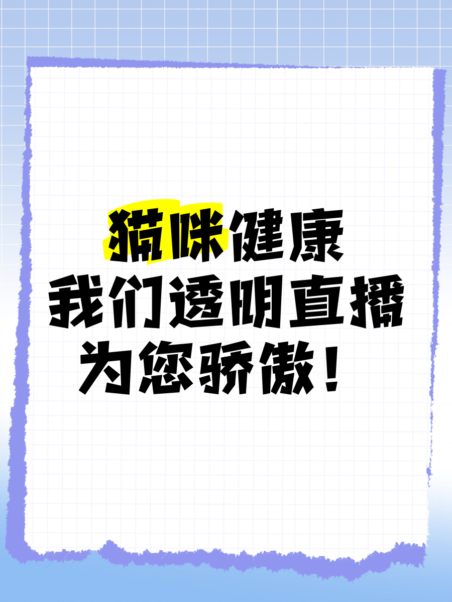 小猫直播客户端小猫直播在线观看电脑版