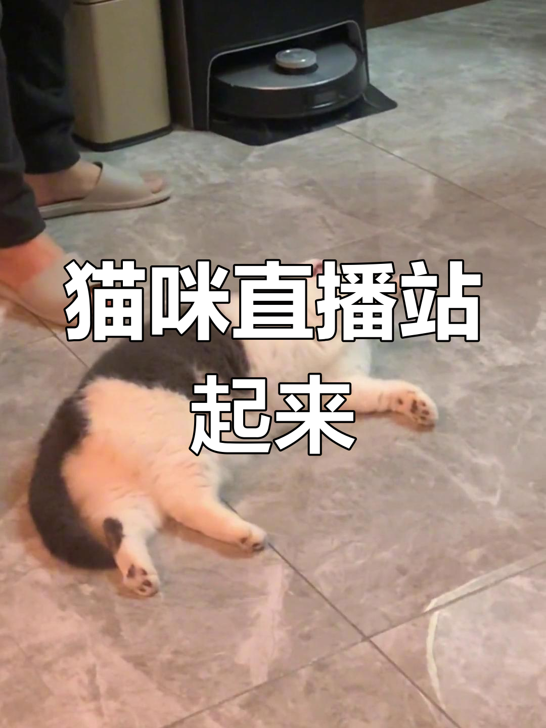 小猫直播客户端小猫直播在线观看电脑版-第2张图片-太平洋在线下载