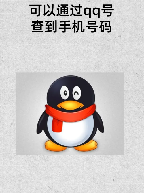 下载qq2014手机版2014年版快速下载-第2张图片-太平洋在线下载