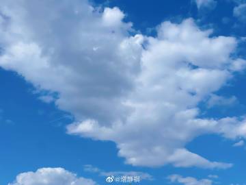 苹果版云参会线上参会和线下参会-第2张图片-太平洋在线下载